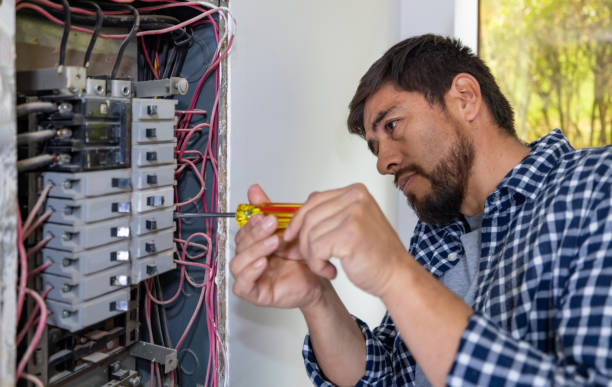 Best Electric Panel Repair  in Fredericktown, MO